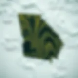 Wind Patterns in Georgia A detailed wind map of Georgia showcasing various wind patterns.