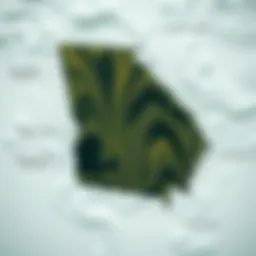 A detailed wind map of Georgia showcasing various wind patterns.