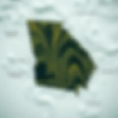 Wind Patterns in Georgia A detailed wind map of Georgia showcasing various wind patterns.