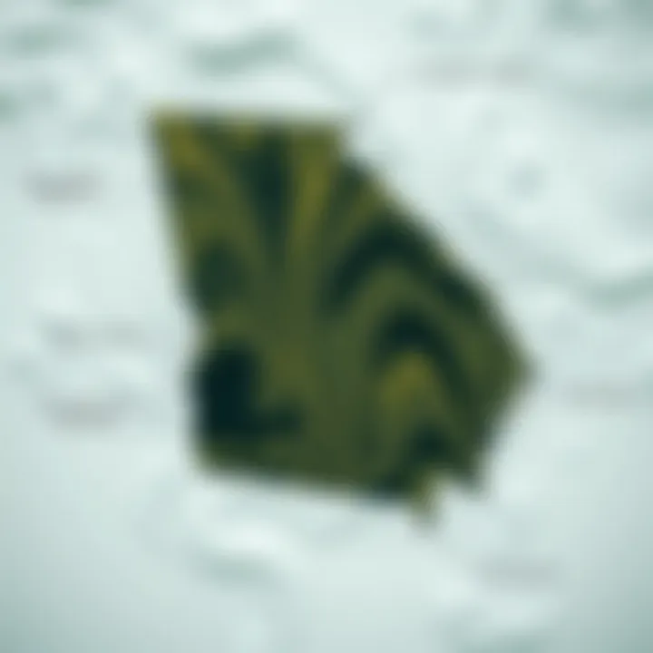 Wind Patterns in Georgia A detailed wind map of Georgia showcasing various wind patterns.