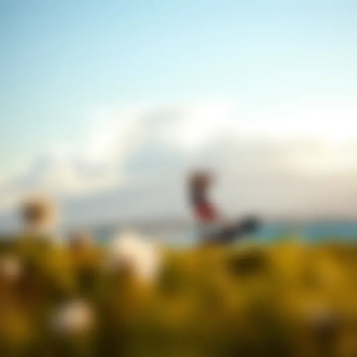 Coastal landscape showcasing ideal kiteboarding conditions