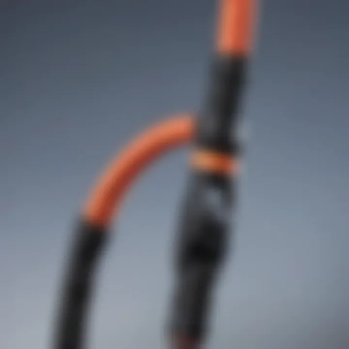 Close-up of a bungee leash demonstrating its elasticity