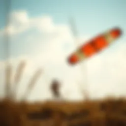 Kite soaring in strong winds