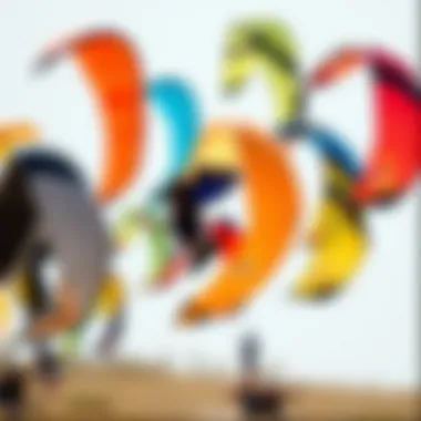 Various kite shapes for strong winds