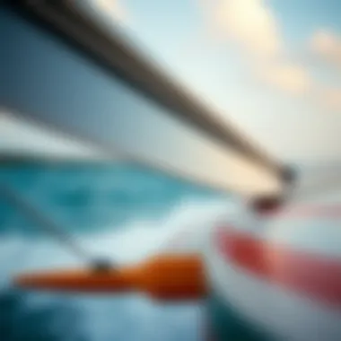 Detail of wing design and materials used in foiling