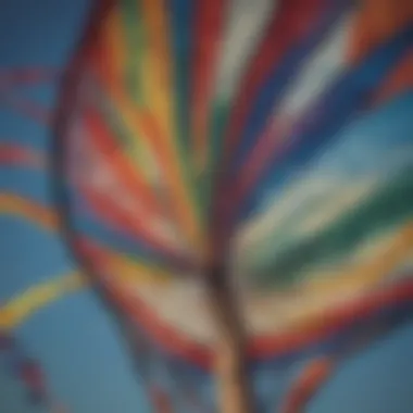 Close-up view of unique fabric patterns used in kite design