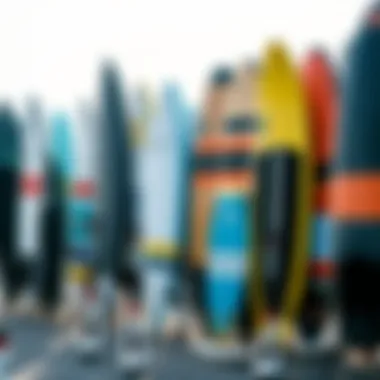 Variety of Hydrofoil Boards A diverse range of hydrofoil boards, highlighting their various shapes and sizes.
