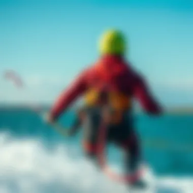 Comparative Analysis of Harness Options Comparison chart of ion harnesses versus alternative options