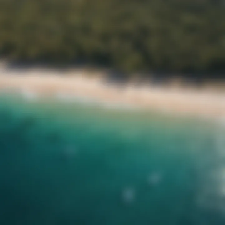 An aerial view of the stunning coastline of Coconut Bay.