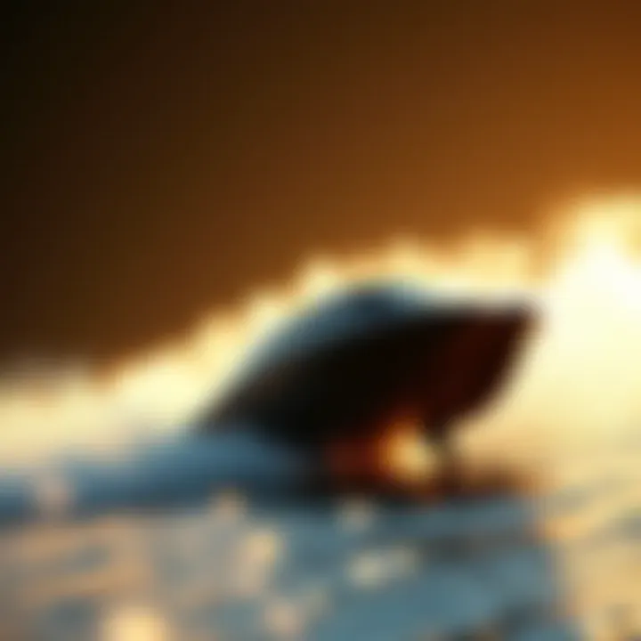 Trends in hydrofoil market analysis and developments