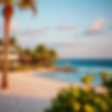 Serene Beach View Surrounding Hotel Salinas Bani Serene beach view surrounding Hotel Salinas Bani