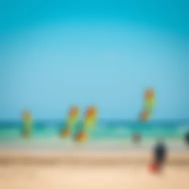 Kite Sailing Community A group of kite sailors maneuvering their kites on a vibrant beach