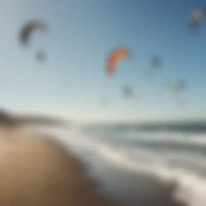 Group of kite surfers enjoying a sunny day at the beach