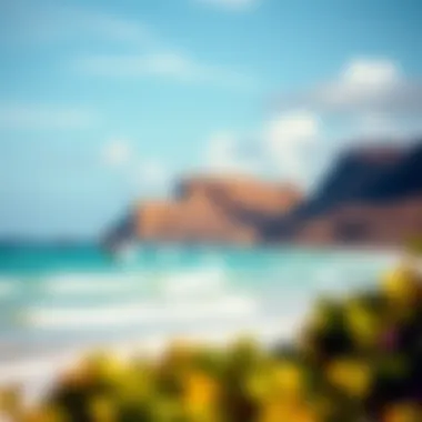 Stunning beach landscape with kiteboarding action