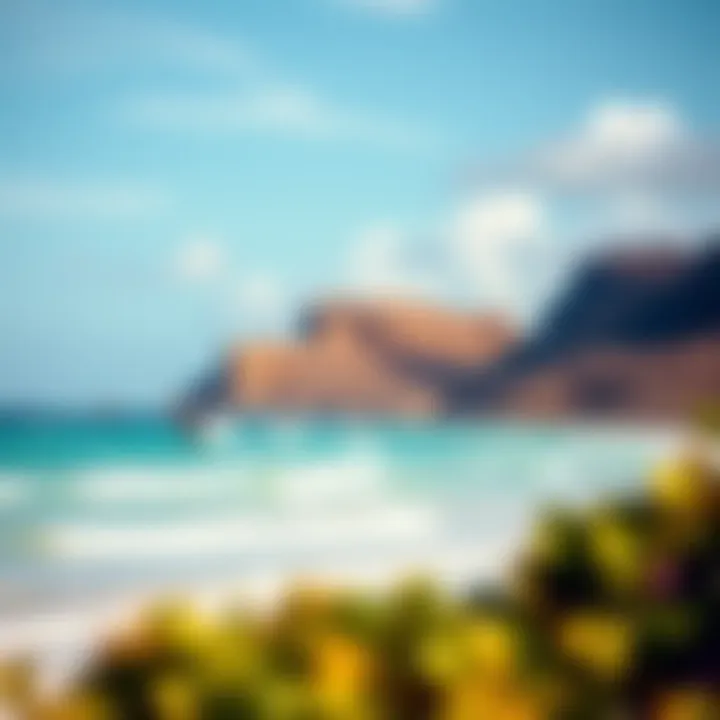 Stunning beach landscape with kiteboarding action