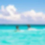 A breathtaking view of kiteboarders gliding over the turquoise waters of Turks and Caicos