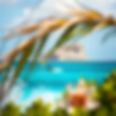 Scenic view of Aruba's best kitesurfing spots