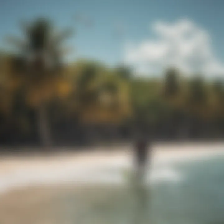 A group of kitesurfers enjoying their time on a tropical beach