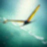 A kitewing soaring over azure waters, showcasing its aerodynamic design