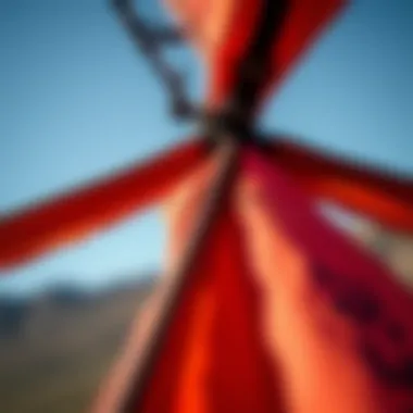 Close-up of a kitewing's intricate fabric and construction details