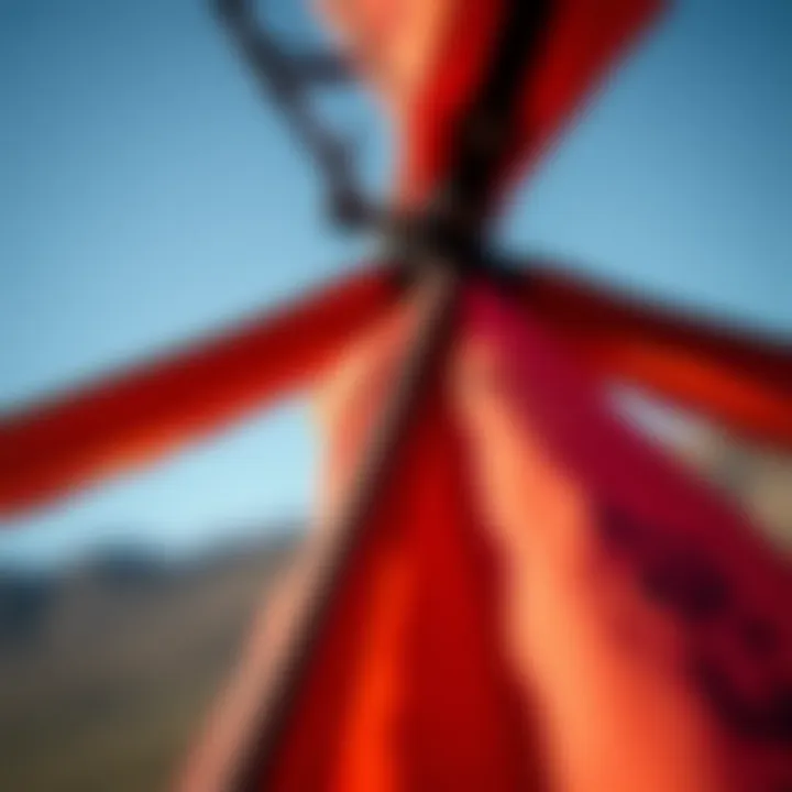Close-up of a kitewing's intricate fabric and construction details