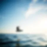 Kiteboarder gliding over calm waters