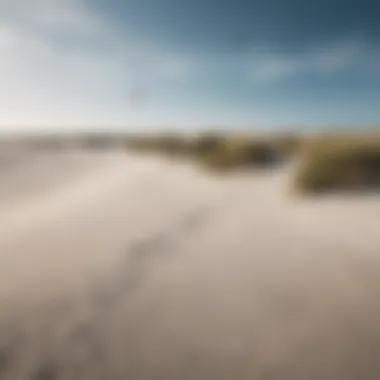 A stunning view of the sandy beach and dunes at Sankt Peter-Ording