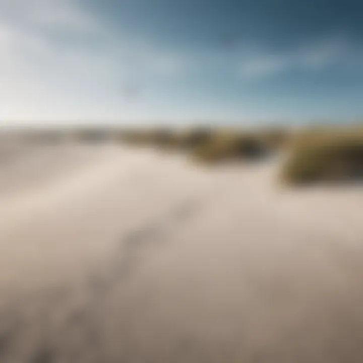 A stunning view of the sandy beach and dunes at Sankt Peter-Ording