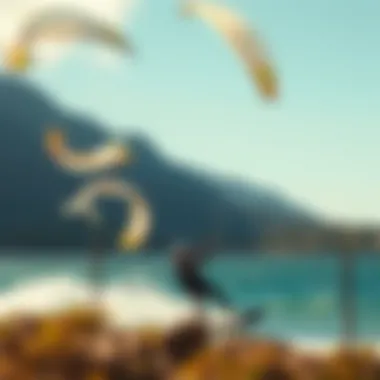 Perfect Kiteboarding Spot A scenic location ideal for kiteboarding
