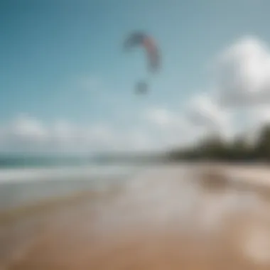 A stunning view of Cabarete beach with kiteboarders in the background