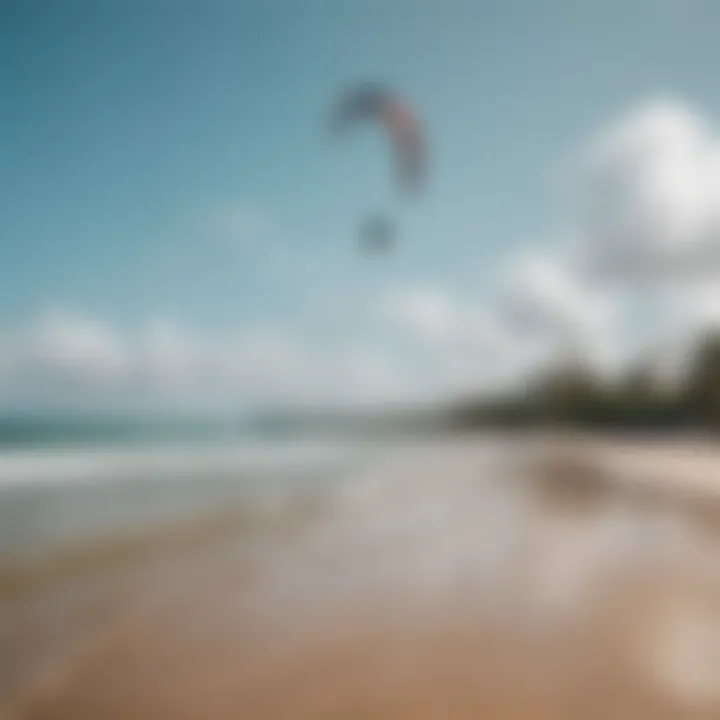 A stunning view of Cabarete beach with kiteboarders in the background