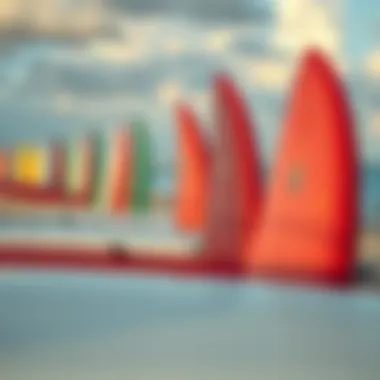 Surfboards Awaiting Adventure Surfboards lined up on the beach ready for use