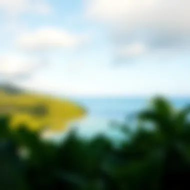 A serene beach surrounded by lush greenery