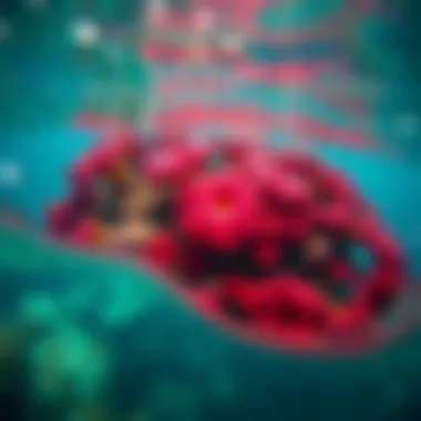 Vibrant coral reef beneath crystal-clear waters