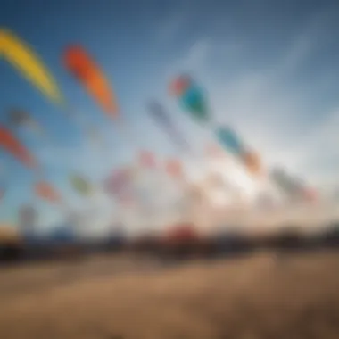 An array of big kites displayed at a local kite shop