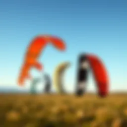 A dynamic display of various kite shapes showcasing aerodynamic designs