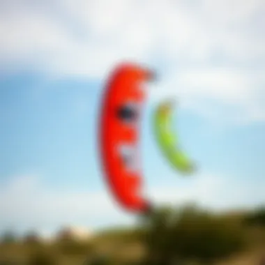 Kites for Varying Wind Conditions A side-by-side comparison of kites suitable for different wind conditions