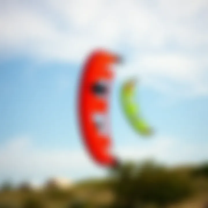 Kites for Varying Wind Conditions A side-by-side comparison of kites suitable for different wind conditions