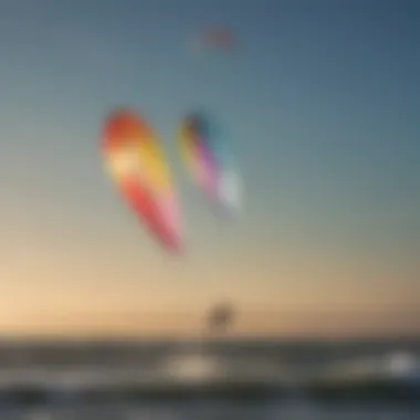 Diverse range of light wind kites displayed for comparison