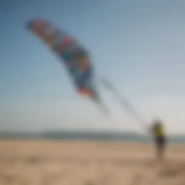 Close-up view of power kite lines and control bar, illustrating the mechanics of flying.