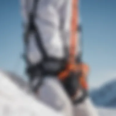 Close-up of safety features in a snow kite harness