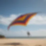 Dynamic view of a four-line kite in action