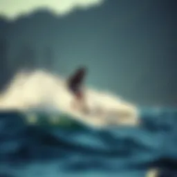 Dynamic performance of an inflatable efoil on the water