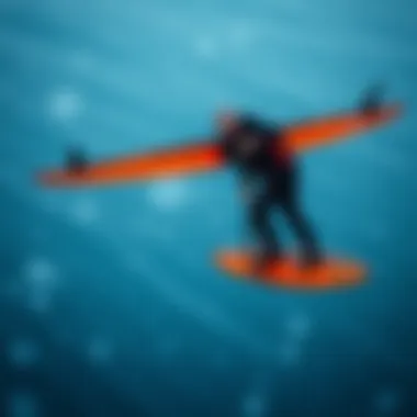 Comparison of different Lift efoil models