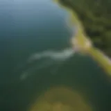 Aerial view of kiteboarders on a vibrant lake