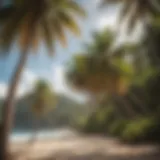 Lush coconut palms swaying in the breeze along a Saint Lucian beach