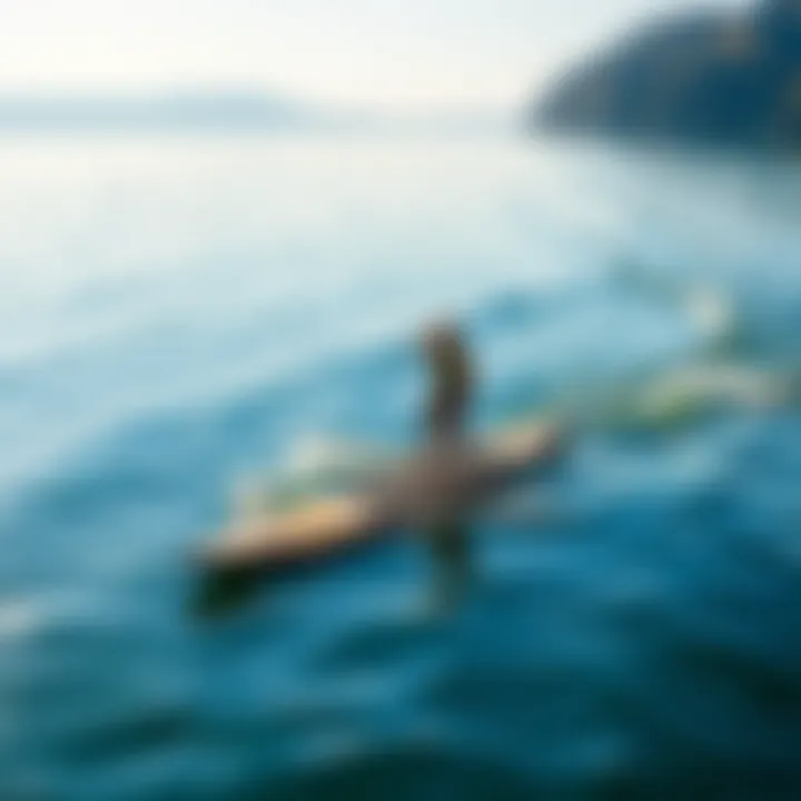 Slingshot SUP in Action on Tranquil Waters Slingshot inflatable SUP navigating through calm waters