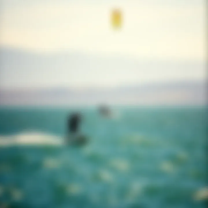 Kiteboarders Enjoying the Waters of Tomales Bay Scenic view of Tomales Bay with kiteboarders