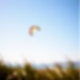 Vibrant kite soaring above Tomales Bay