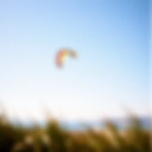 Vibrant kite soaring above Tomales Bay